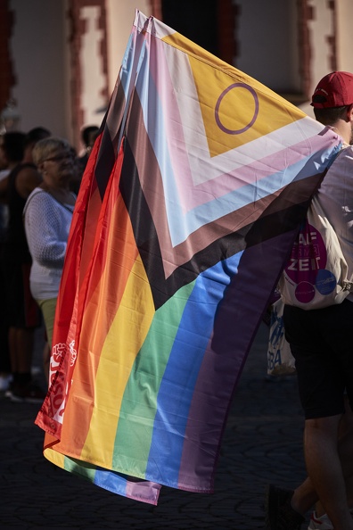 20220715_DykeMarch_Frankfurt__XT11438_herrwalther.jpg