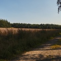Roadtrip 2021