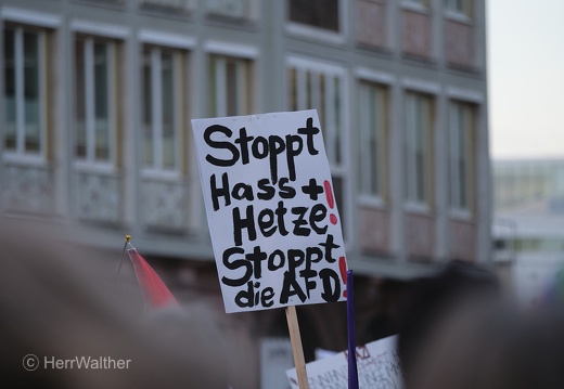 20240205 Demo Frankfurt steht auf für Demokratie - Frankfurt